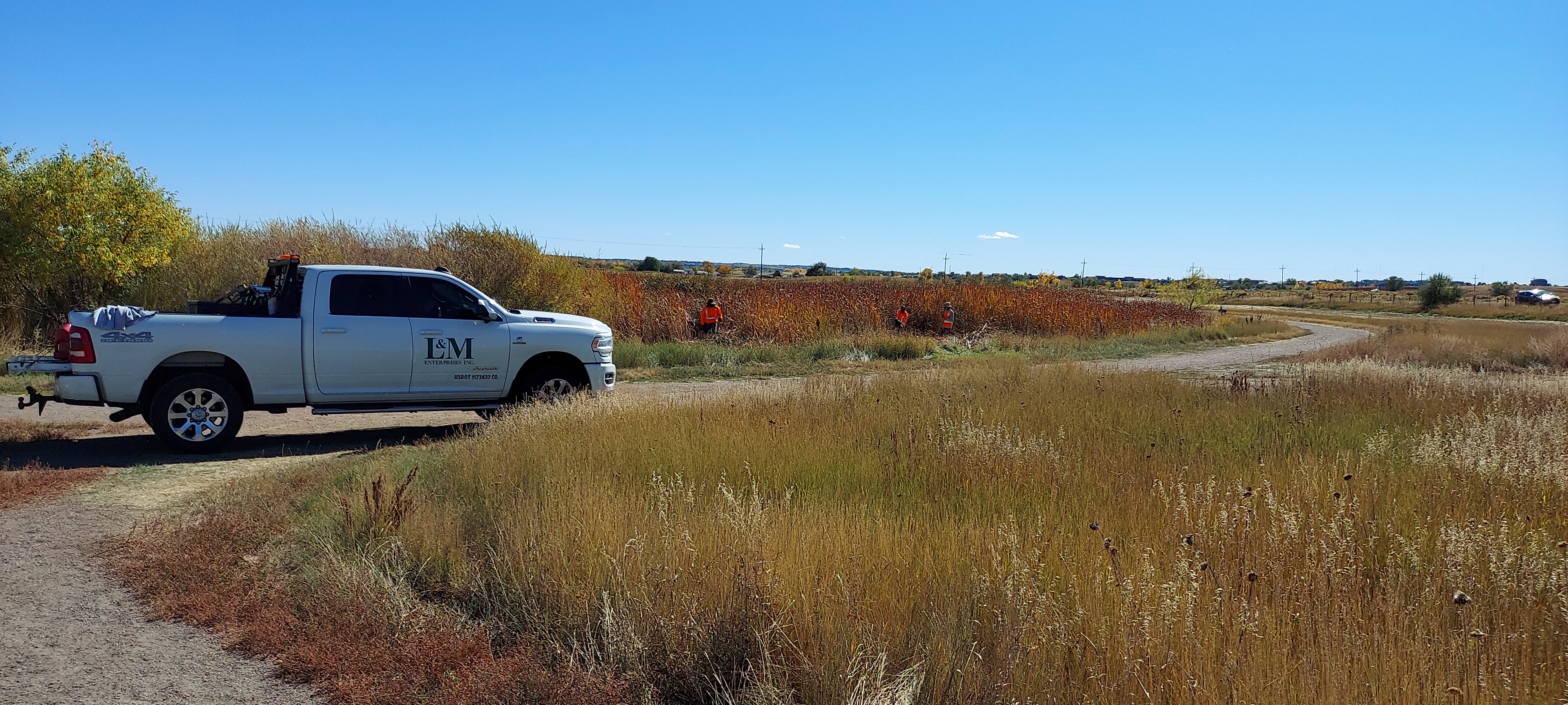 Wetland Harvesting