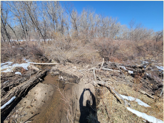 Dove Creek Before
