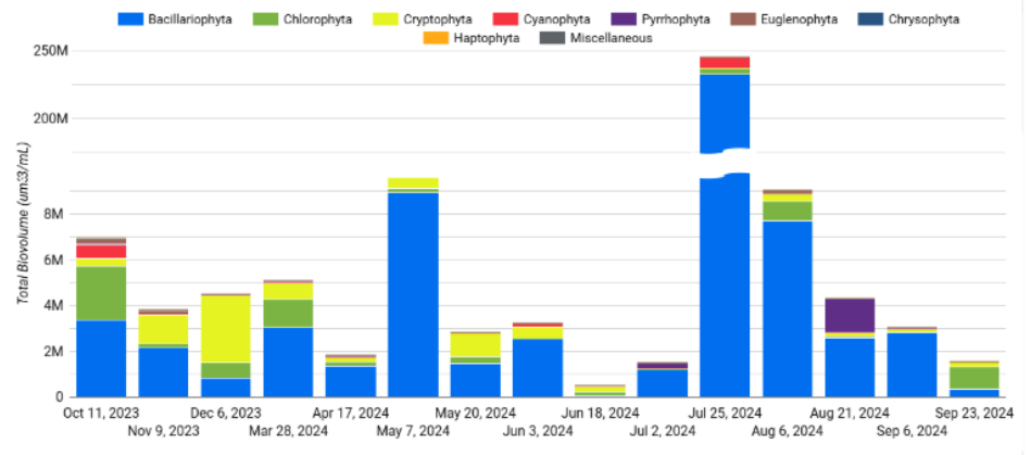 Phytoplankton Populations
