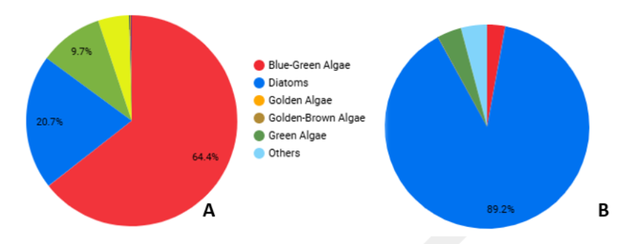 Phytoplankton Populations