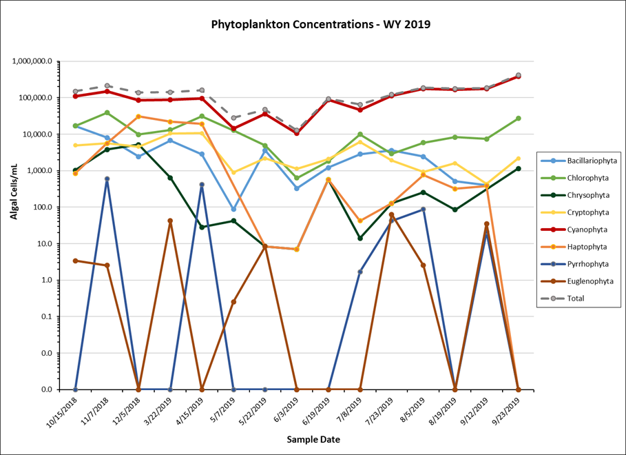 Phytoplankton Concentrations graph